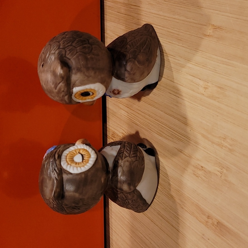 Brown and White Owl Salt & Pepper Set - Picture 4 of 4
